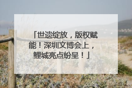 世遗绽放，版权赋能！深圳文博会上，鲤城亮点纷呈！