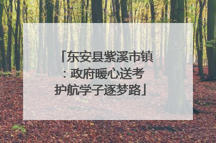 东安县紫溪市镇：政府暖心送考 护航学子逐梦路