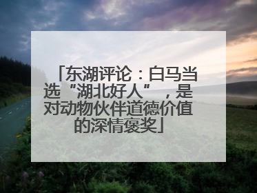 东湖评论：白马当选“湖北好人”，是对动物伙伴道德价值的深情褒奖