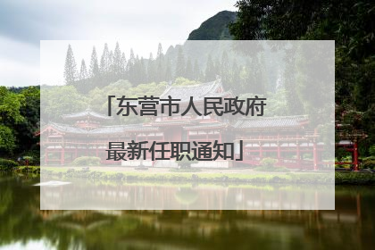 东营市人民政府最新任职通知