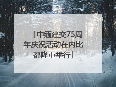 中缅建交75周年庆祝活动在内比都隆重举行