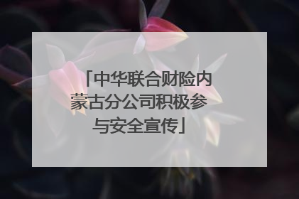 中华联合财险内蒙古分公司积极参与安全宣传