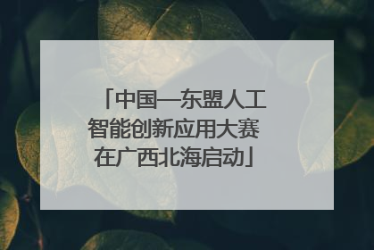 中国—东盟人工智能创新应用大赛在广西北海启动