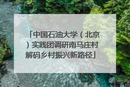 中国石油大学（北京）实践团调研南马庄村解码乡村振兴新路径