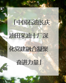 中国石油长庆油田采油十厂深化党建融合凝聚奋进力量