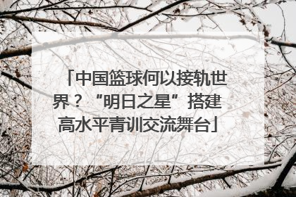 中国篮球何以接轨世界？“明日之星”搭建高水平青训交流舞台