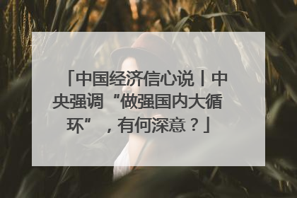 中国经济信心说丨中央强调“做强国内大循环”，有何深意？