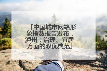 中国城市网络形象指数报告发布，泸州：治理、宜居方面的双优典范