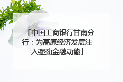 中国工商银行甘南分行：为高原经济发展注入强劲金融动能