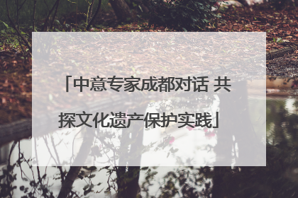 中意专家成都对话 共探文化遗产保护实践