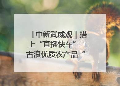 中新武威观｜搭上“直播快车” 古浪优质农产品“云端”走俏