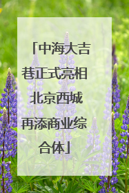 中海大吉巷正式亮相 北京西城再添商业综合体