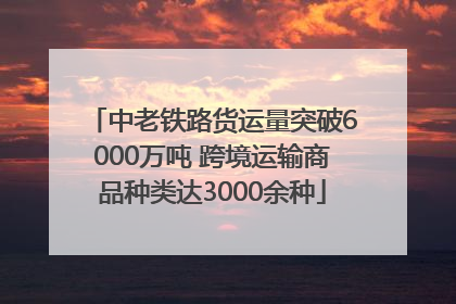 中老铁路货运量突破6000万吨 跨境运输商品种类达3000余种