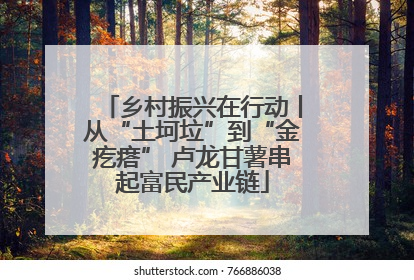乡村振兴在行动丨从“土坷垃”到“金疙瘩” 卢龙甘薯串起富民产业链