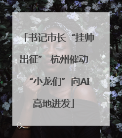 书记市长“挂帅出征” 杭州催动“小龙们”向AI高地进发