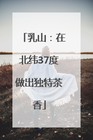 乳山：在北纬37度做出独特茶香