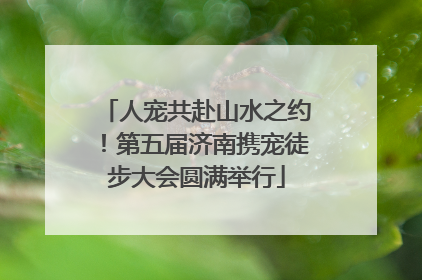 人宠共赴山水之约！第五届济南携宠徒步大会圆满举行