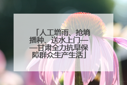 人工增雨、抢墒播种、送水上门——甘肃全力抗旱保障群众生产生活