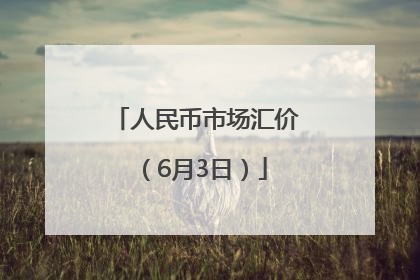 人民币市场汇价（6月3日）