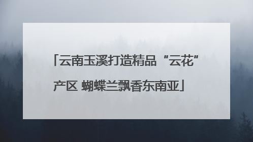云南玉溪打造精品“云花”产区 蝴蝶兰飘香东南亚