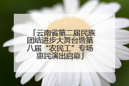 云南省第二届民族团结进步大舞台暨第八届“农民工”专场惠民演出启幕