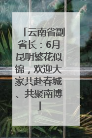 云南省副省长：6月昆明繁花似锦，欢迎大家共赴春城、共聚南博