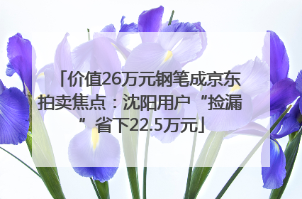 价值26万元钢笔成京东拍卖焦点：沈阳用户“捡漏”省下22.5万元