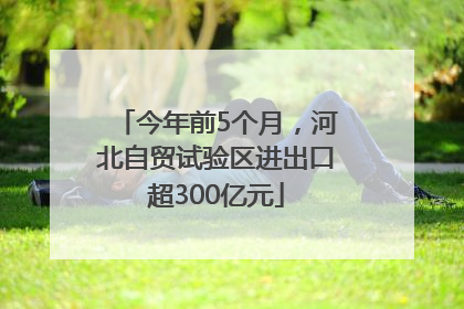 今年前5个月，河北自贸试验区进出口超300亿元