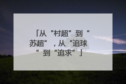 从“村超”到“苏超”，从“追球”到“追求”