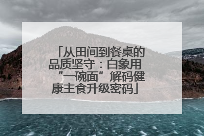 从田间到餐桌的品质坚守：白象用“一碗面”解码健康主食升级密码