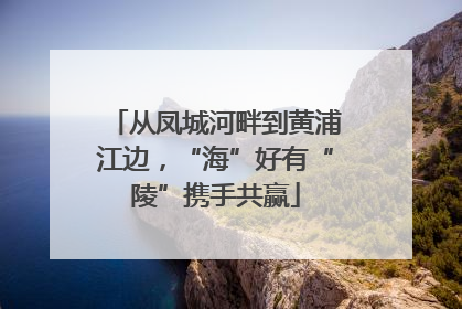 从凤城河畔到黄浦江边，“海”好有“陵”携手共赢