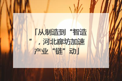 从制造到“智造”，河北廊坊加速产业“链”动