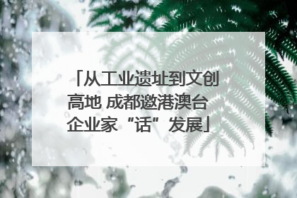 从工业遗址到文创高地 成都邀港澳台企业家“话”发展