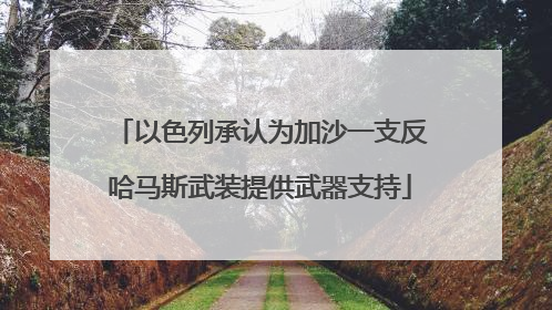以色列承认为加沙一支反哈马斯武装提供武器支持