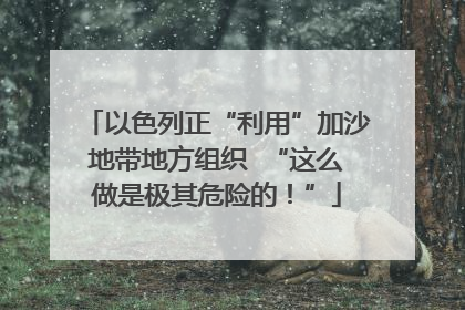 以色列正“利用”加沙地带地方组织  “这么做是极其危险的！”