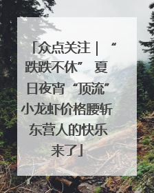 众点关注｜“跌跌不休” 夏日夜宵“顶流”小龙虾价格腰斩 东营人的快乐来了