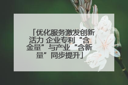 优化服务激发创新活力 企业专利“含金量”与产业“含新量”同步提升