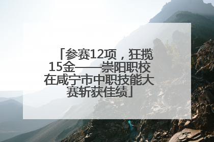 参赛12项，狂揽15金——崇阳职校在咸宁市中职技能大赛斩获佳绩