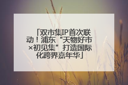 双市集IP首次联动！浦东“天物好市×初见集”打造国际化跨界嘉年华