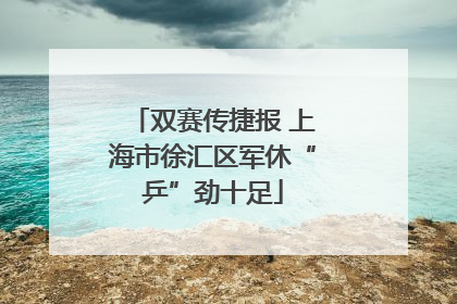 双赛传捷报 上海市徐汇区军休“乒”劲十足
