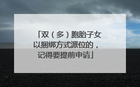 双（多）胞胎子女以捆绑方式派位的，记得要提前申请