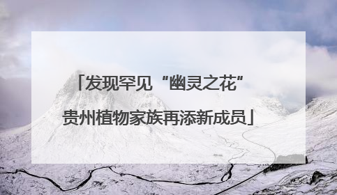 发现罕见“幽灵之花” 贵州植物家族再添新成员