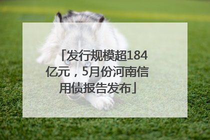 发行规模超184亿元，5月份河南信用债报告发布