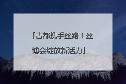 古都携手丝路！丝博会绽放新活力