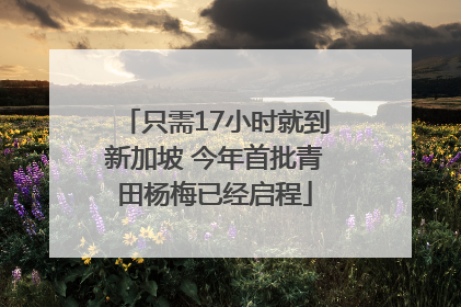 只需17小时就到新加坡 今年首批青田杨梅已经启程