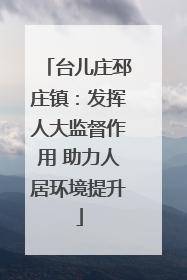 台儿庄邳庄镇：发挥人大监督作用 助力人居环境提升