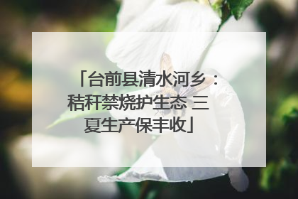台前县清水河乡：秸秆禁烧护生态 三夏生产保丰收