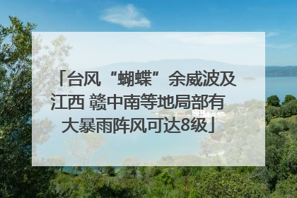 台风“蝴蝶”余威波及江西 赣中南等地局部有大暴雨阵风可达8级