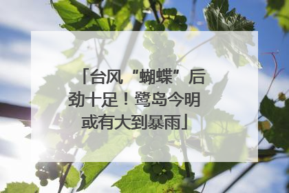 台风“蝴蝶”后劲十足！鹭岛今明或有大到暴雨