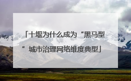 十堰为什么成为“黑马型”城市治理网络维度典型
